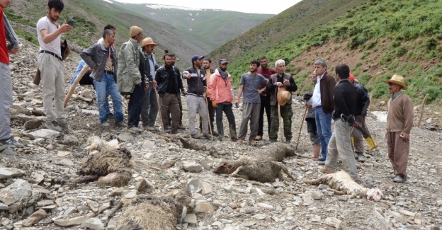 Hakkari’de sel: 800 hayvan telef oldu