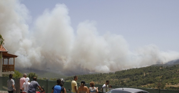 Olimpos ve Çıralı tehdit altında