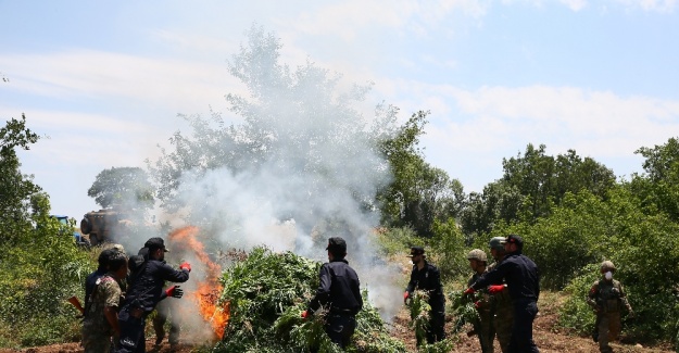 PKK’nın finans kaynağına ağır darbe