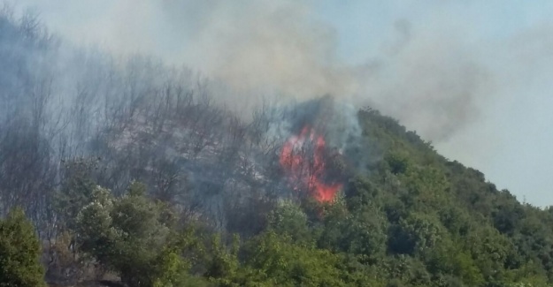 Çanakkale’de ikinci orman yangını