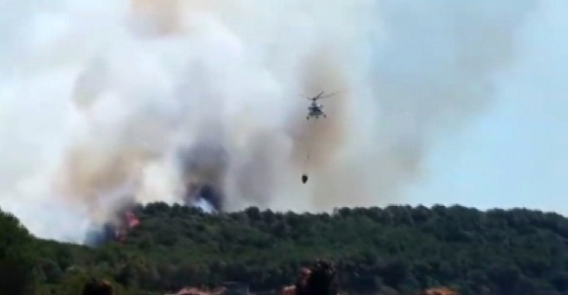 Çanakkale’de korkutan orman yangını