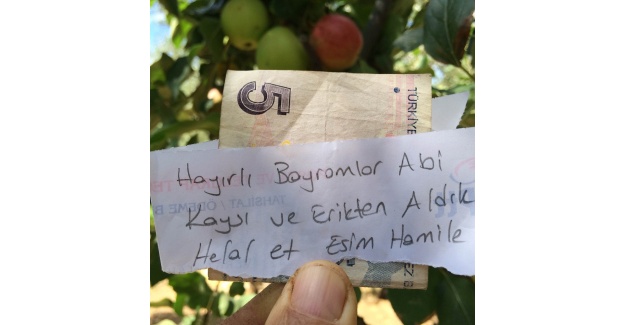 Hamile eşi için aldığı meyvelerin parasını ağaca astı