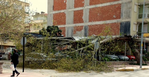 Meteorolojiden 5 il için fırtına uyarısı