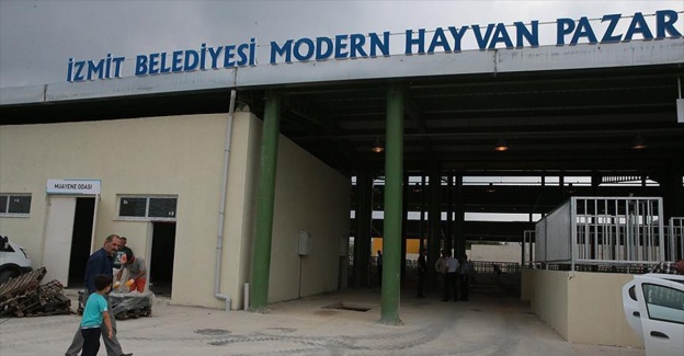 İstanbullular için İzmit'te alternatif modern kurbanlık pazarı