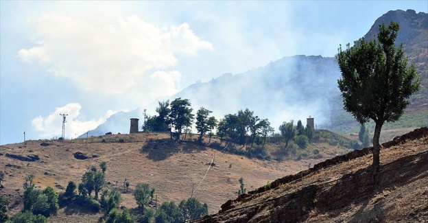 Tunceli'de jandarma karakoluna taciz ateşi