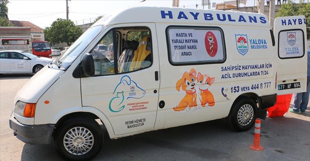 Yalova'da hayvan ambulansı 