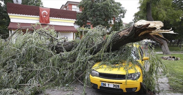 Ankara'da şiddetli rüzgar maddi hasara yol açtı