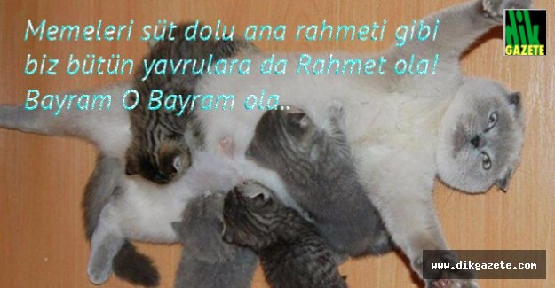 Bayram-ı Şerifler Hayrola!..