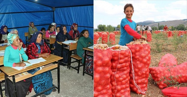 Gündüz çiftçi akşam öğrenci
