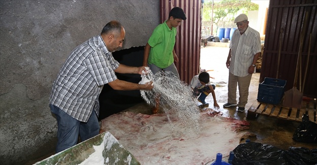 Kurban derileri için tuzlama uyarısı
