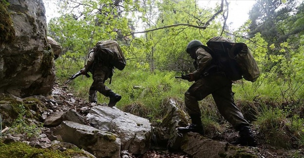 
Şemdinli'de iki terörist etkisiz hale getirildi
