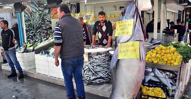 220 kilogram orkinos ilgi odağı oldu