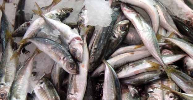 Denizi olmayan kentten 15 ülkeye balık ihracatı