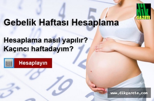 Gebelik Haftası Neye Göre Hesaplanır?