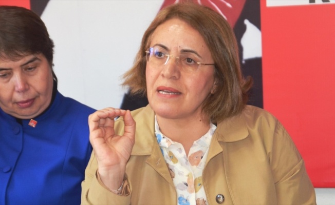 CHP Kadın Kolları Genel Başkanı Köse: Tek adamlık getirilmek isteniyor