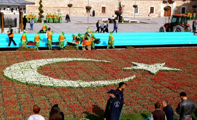 Konya'da 156 bin lale ile Türk bayrağı oluşturuldu