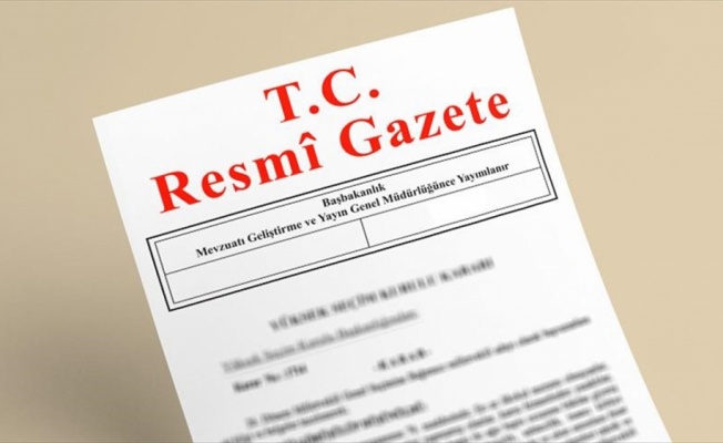 55 şirkete 'dış ticaret sermaye şirketi' statüsü