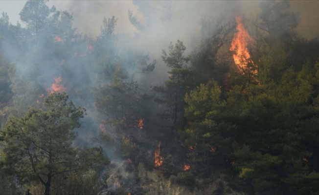 Meteoroloji'den 'orman yangını' uyarısı