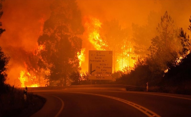 Portekiz'de orman yangını: 57 ölü