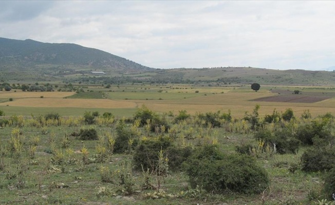 Tokat'a mühimmat fabrikası kurulacak