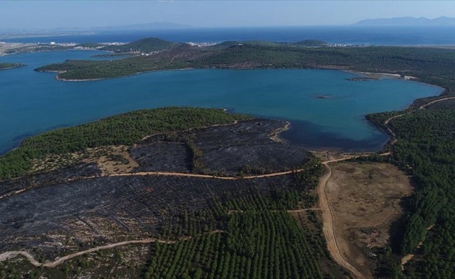 Bakan Eroğlu'ndan sanatçı Haluk Levent'e davet