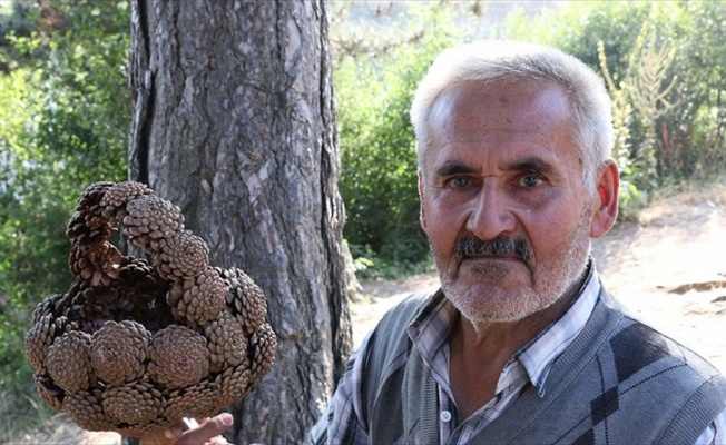 Çam kozalaklarını sepete dönüştürüyor