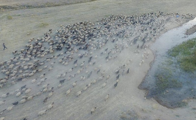 Göçerlerin çileli yolculuğu 'drone'la görüntülendi