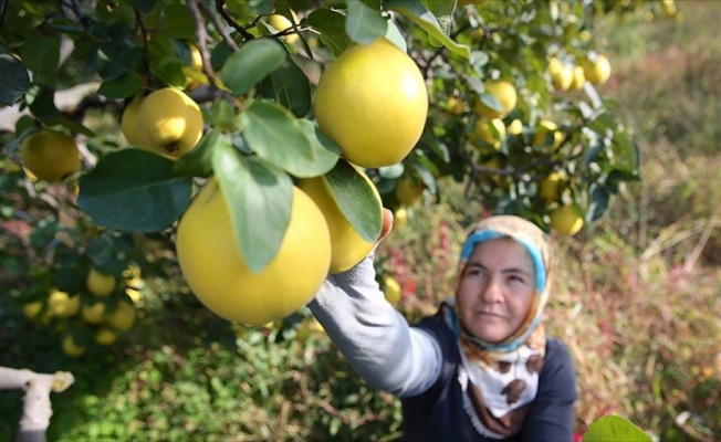 'Tarımın geleceği çiftçi kadınlarımızda'