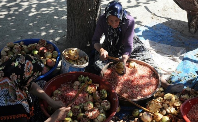 Çukurova'da kadınları nar ekşisi telaşı sardı