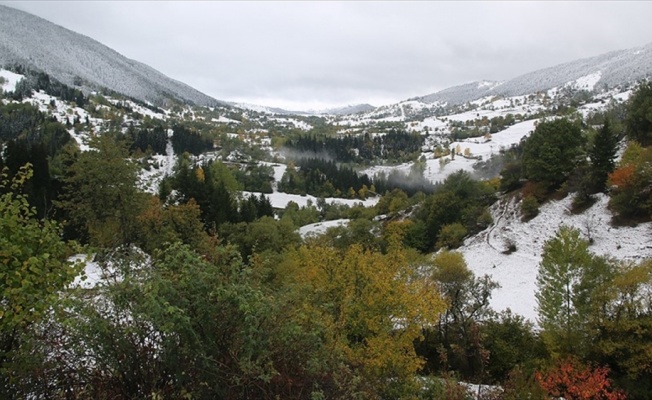 Doğu Karadeniz'de 2 mevsim bir arada yaşanıyor