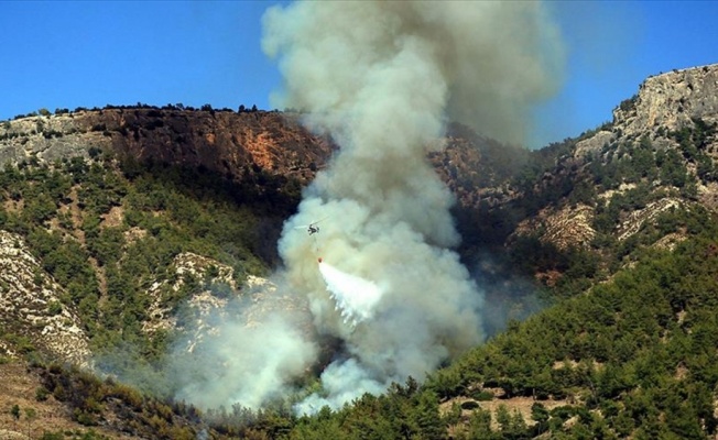 Muğla'da orman yangını