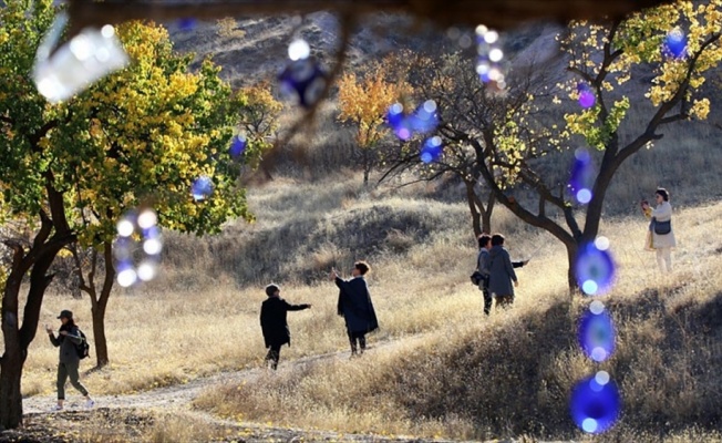 Sarının tonları Kapadokya'yı sardı