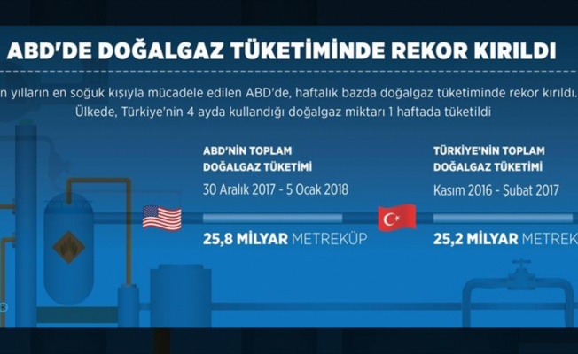 ABD'de doğalgaz tüketiminde rekor kırıldı