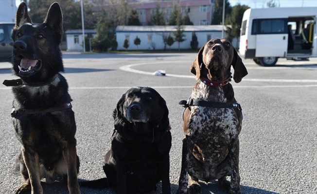 Terör ve uyuşturucuyla mücadelenin 'keskin burunları'