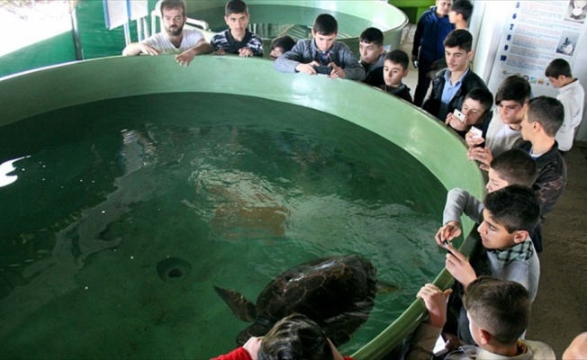 Ağrılı öğrencilerin 'caretta caretta' mutluluğu