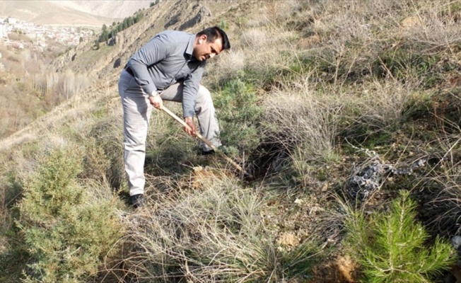 Babasının anısına binlerce fidan dikti