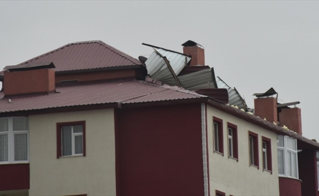 Doğu Anadolu'da şiddetli rüzgar ve fırtına etkili oldu