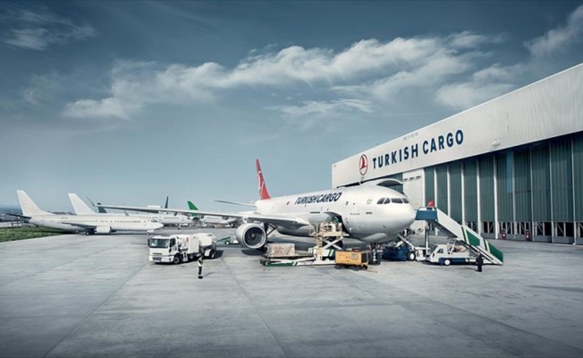 Turkish Cargo zürafa taşıdı