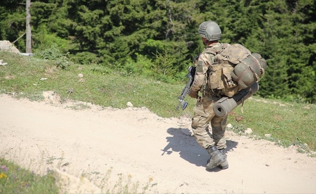 'Bebek katili' PKK'ya temmuzda ağır darbe