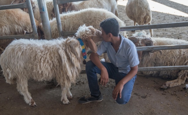 Hayvan pazarlarında 'kurban' hareketliliği