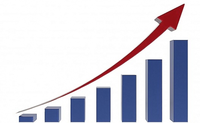 Bitkisel üretim istatistikleri açıklandı