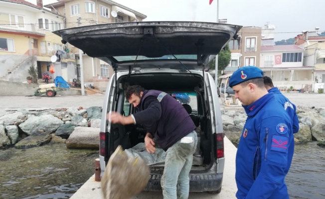 Bursa’da 1.5 ton kaçak midye ele geçirildi