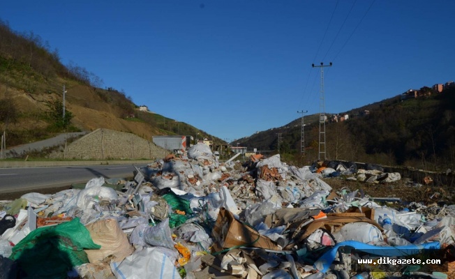 Çöp yığınları çevre felaketine davetiye çıkarıyor