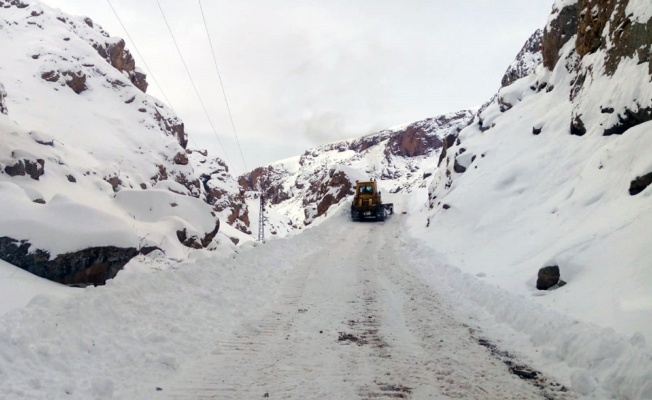 295 yerleşim yerinin yolu kapandı