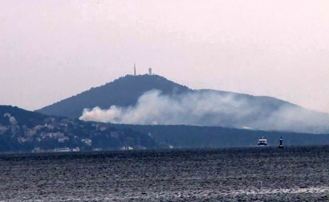 Büyükada’da yangın