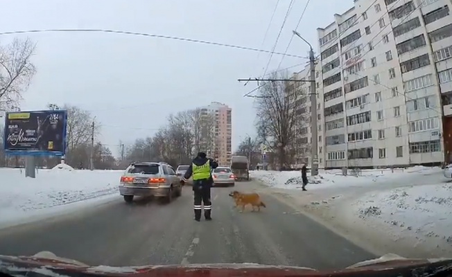 Köpeğin yardımına polis koştu