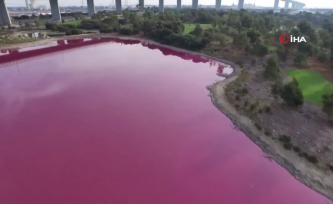 Avustralya’da bir göl pembe renge büründü