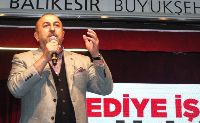 Bakan Çavuşoğlu’ndan Avusturya’ya “bozkurt” tepkisi