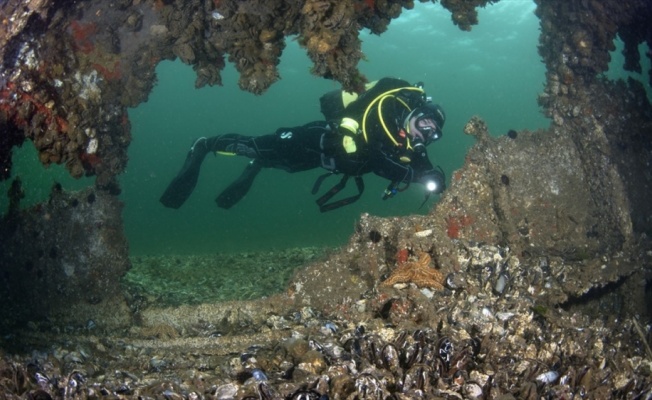 Boğazın batık savaş gemileri turizme kazandırılacak