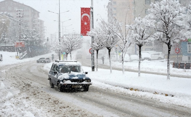 Doğu'da baharda yağan kar etkili oldu